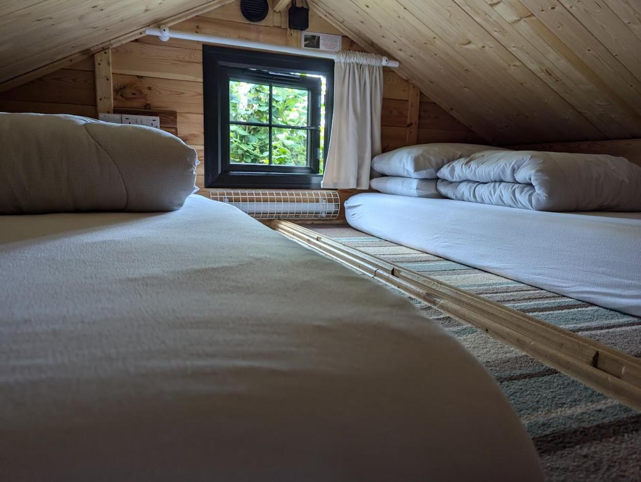 'Monktonmead Lodge' In Secluded Setting, With Private Indoor Pool. Ryde  Exteriér fotografie